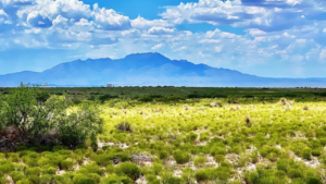 1 acre desert land in Socorro County New Mexico Rio Grande Estates property