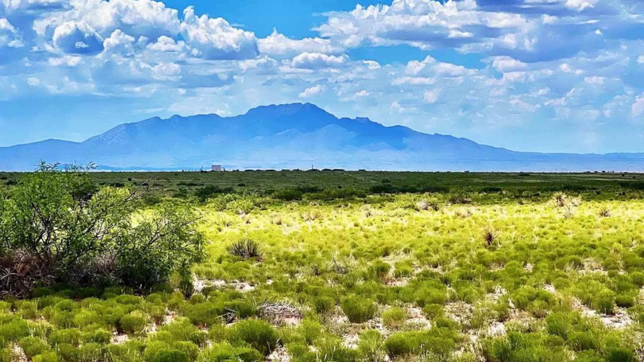 1 acre desert land in Socorro County New Mexico Rio Grande Estates property